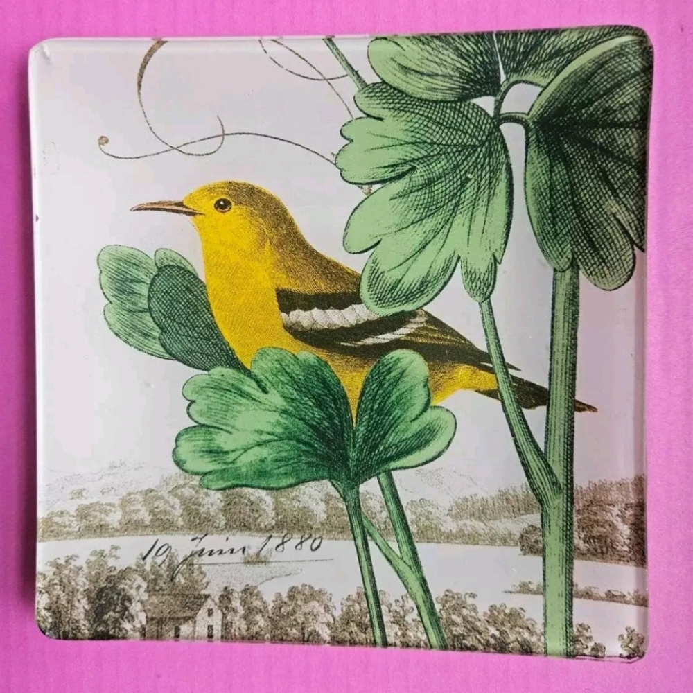 Glass Trinket Tray Bird  4.5” x 4.5”